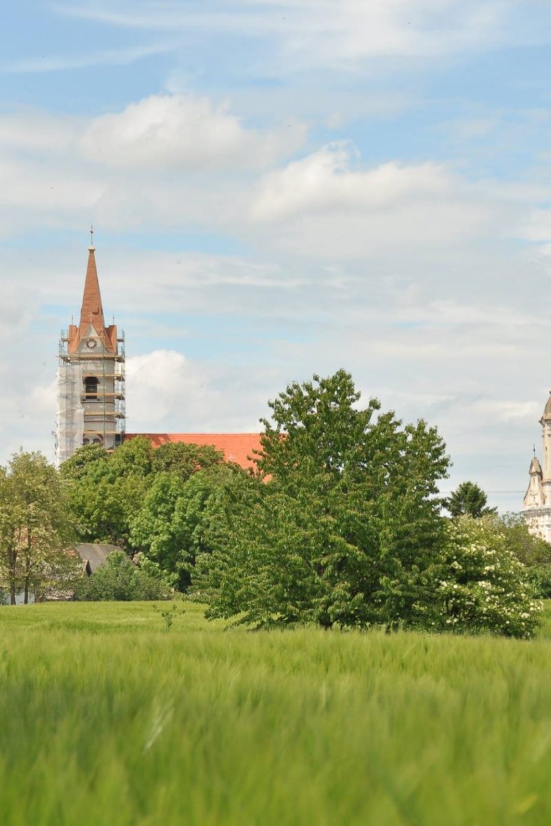 12031373_871777119576272_757182889416554247_o