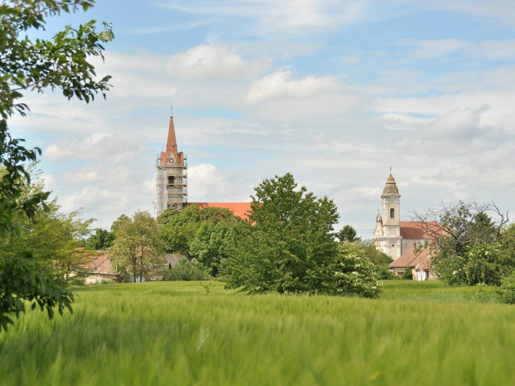 12031373_871777119576272_757182889416554247_o